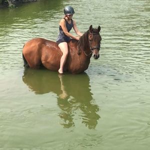 Meet your Posher, Jayne